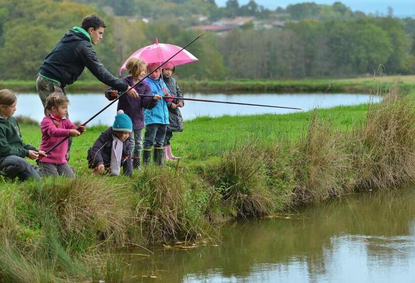 Masbareau, Demeure De Charme, B&b