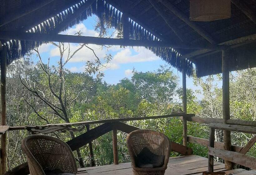 Пансион Aldea Zen Chales Privativos