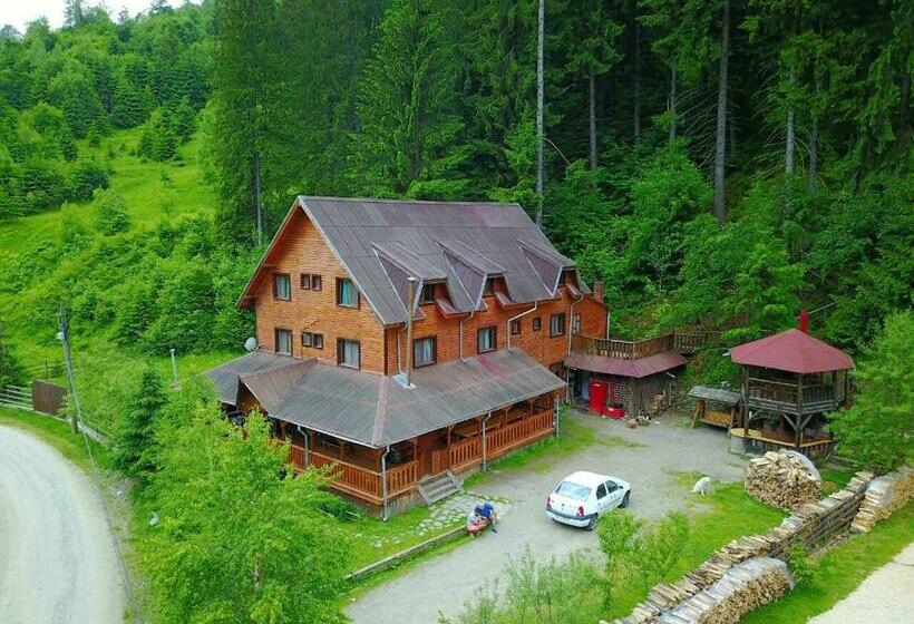 بنسيون Cabana Ancutei