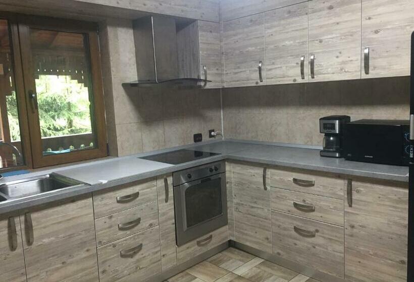 بنسيون Cabana Ancutei