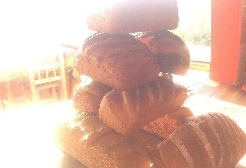 بنسيون Casa Gundi Y Tomas