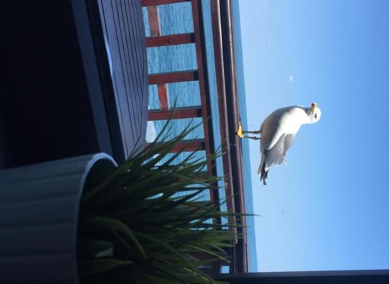 Пансион Deep Blue Guest House