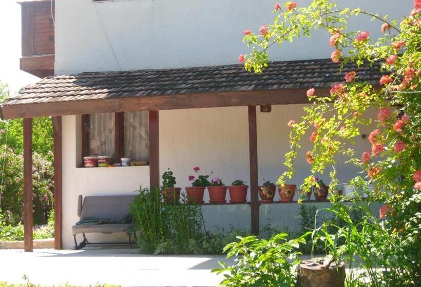 Пансион Elida Guest House