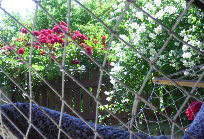 Пансион Elida Guest House