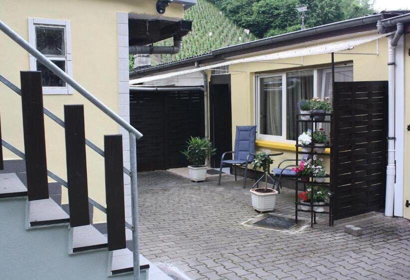 펜션 Ferienwohnung Ziemons