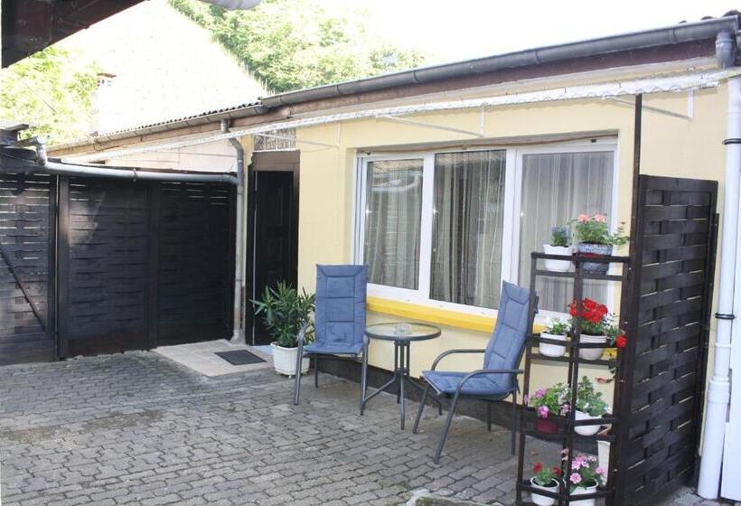 펜션 Ferienwohnung Ziemons