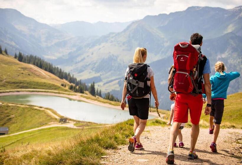 Пансион Haus Am Wildbach