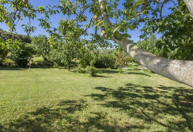 פנסיון Isola Delle Api