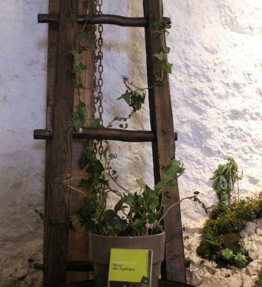 Пансион L Oustal De L Annetta Chambres Et Tables D Hôtes