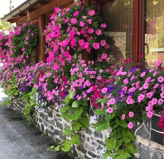 펜션 Penzión Holub