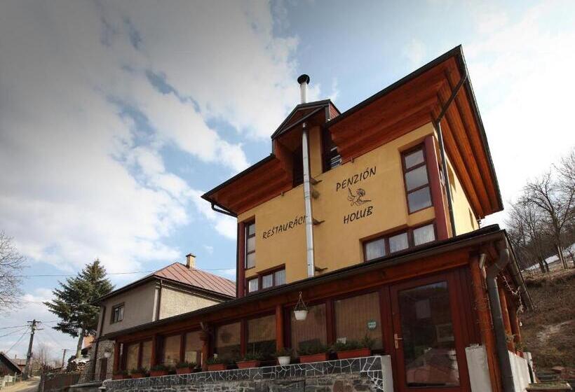 펜션 Penzión Holub