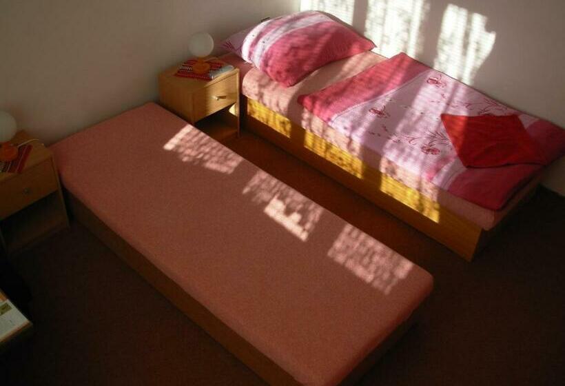 膳宿费 Penzion Hlinkova