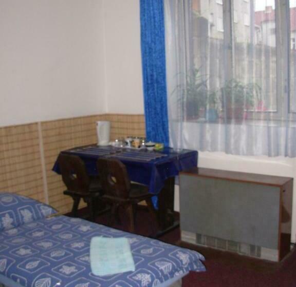 膳宿费 Penzion Hlinkova