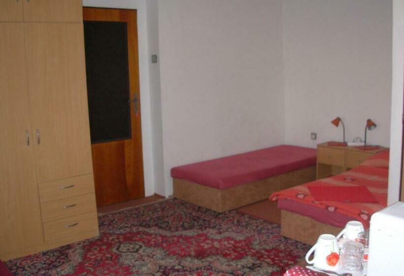 膳宿费 Penzion Hlinkova