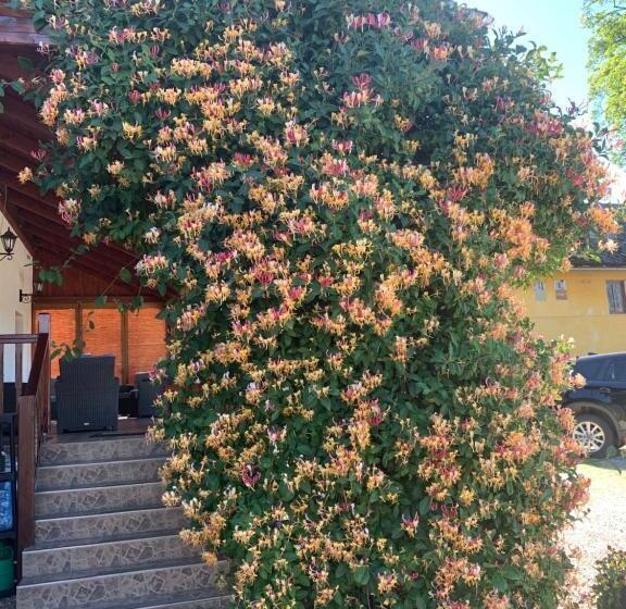 Пансион Penzion Na Solné Stezce