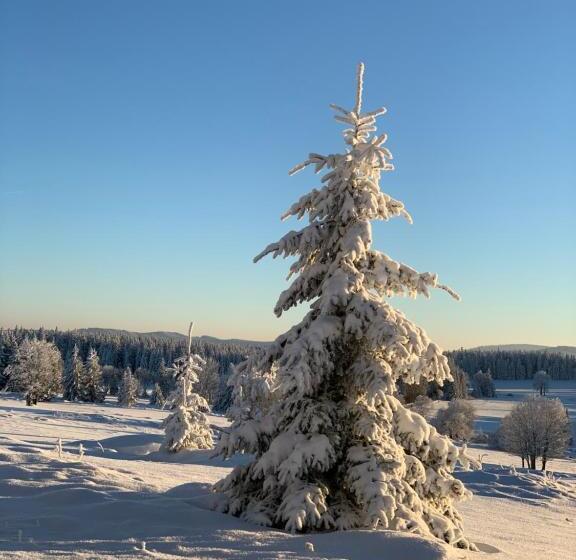 Пансион Penzion Na Solné Stezce