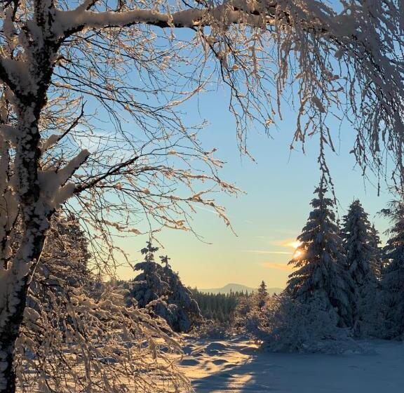 Пансион Penzion Na Solné Stezce