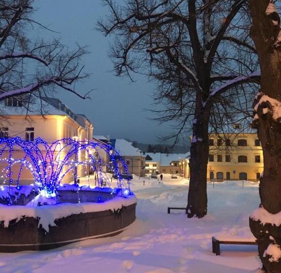 پانسیون Penzion Na Solné Stezce