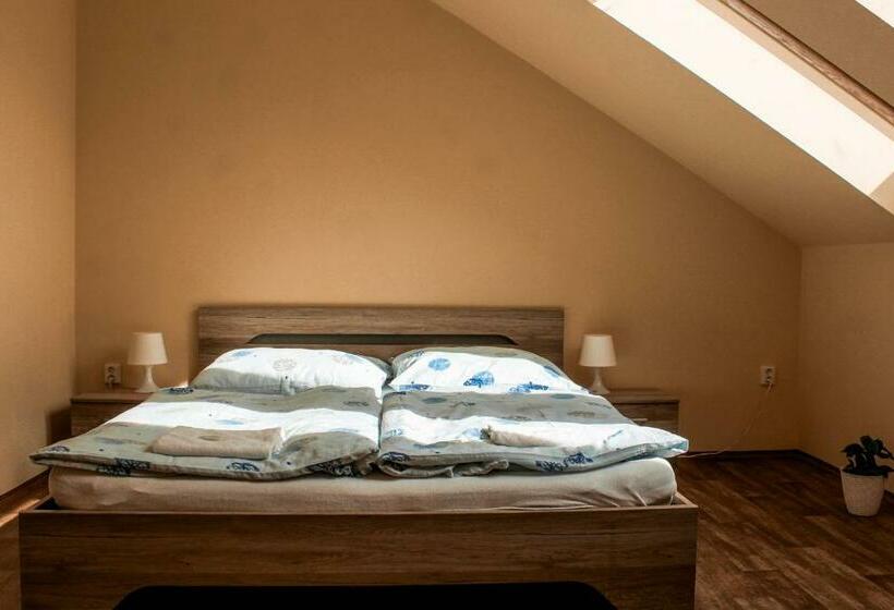 פנסיון Penzion Na Vošverku