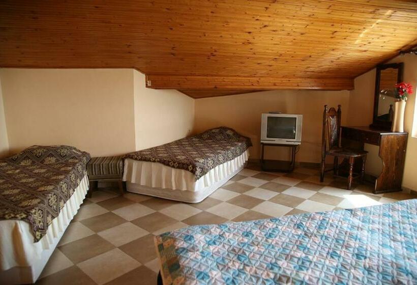 펜션 Popov Guest House