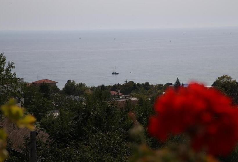 펜션 Popov Guest House