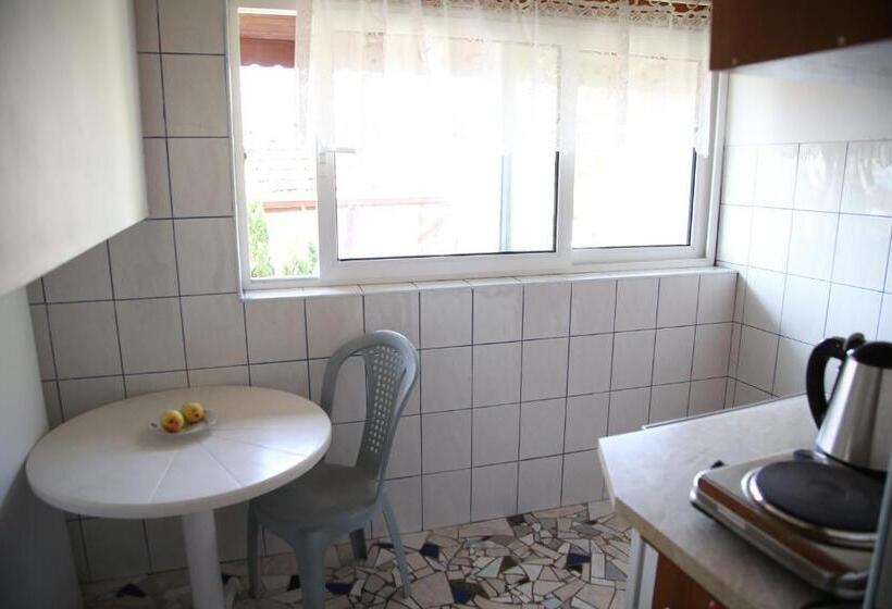 펜션 Popov Guest House