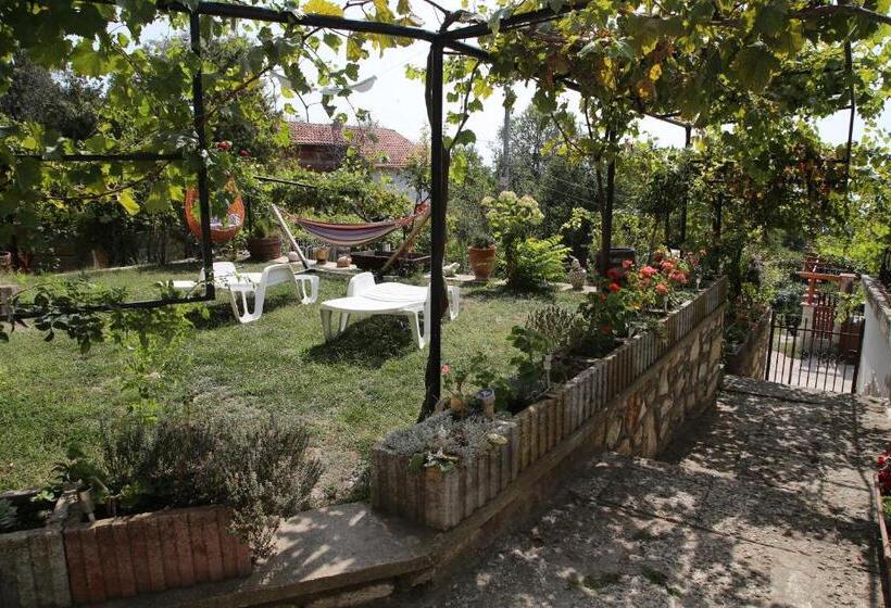 پانسیون Popov Guest House