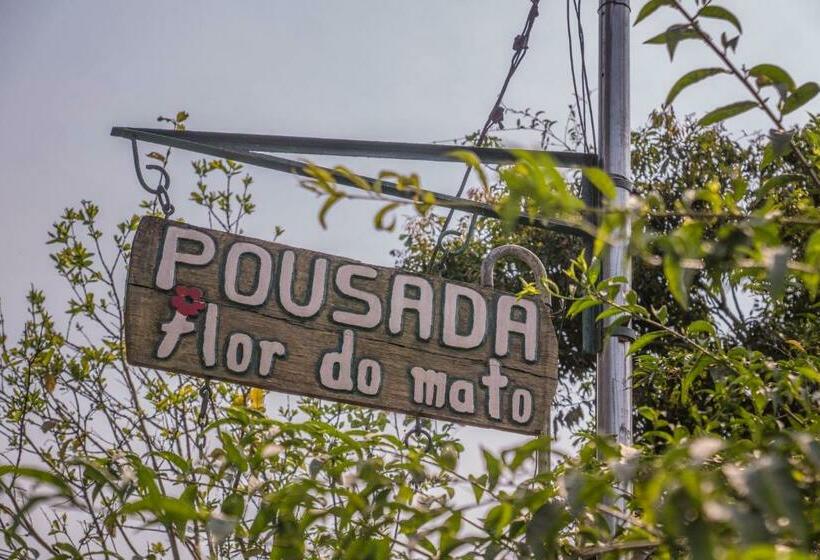 פנסיון Pousada Flor Do Mato
