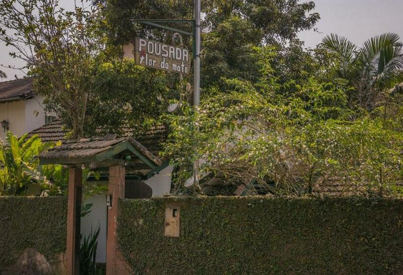 פנסיון Pousada Flor Do Mato