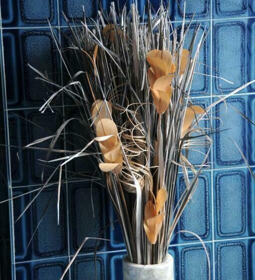 פנסיון Residence Villa Catherine