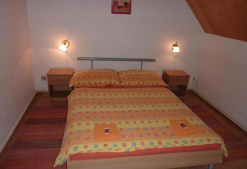 펜션 Rodinny Penzion Kunc