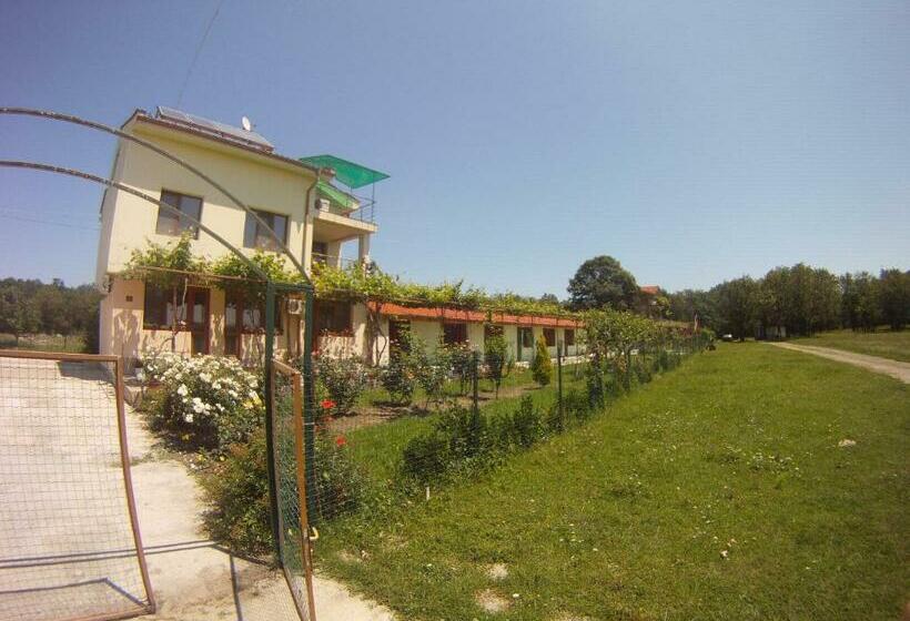 Пансион Sirius Guest House