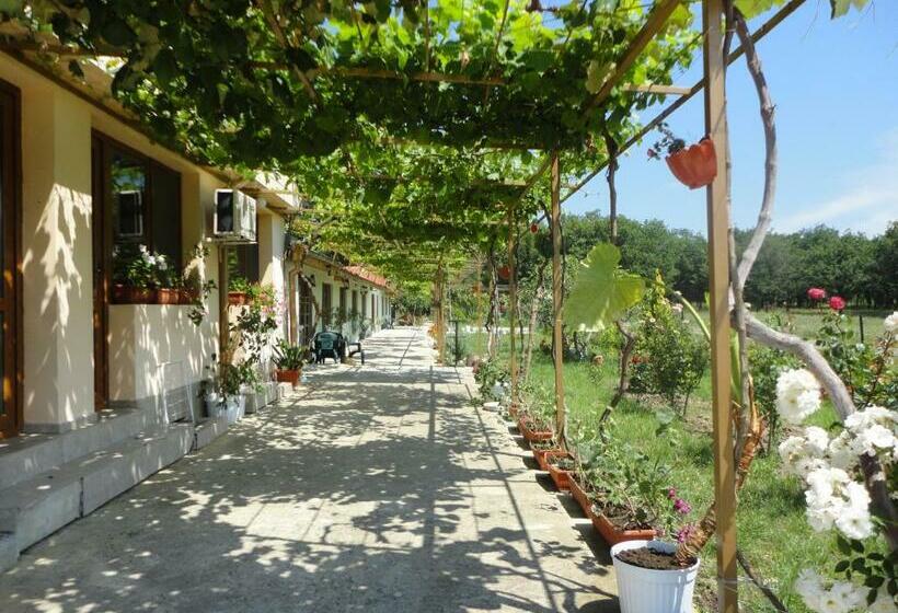 Пансион Sirius Guest House