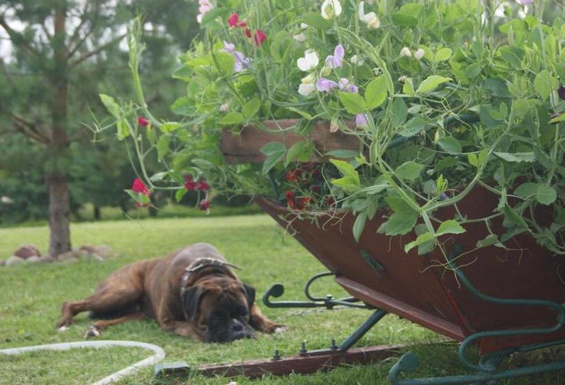 پانسیون Traku Horizontai