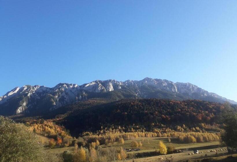 Pensiunea Kyfana Zarnesti