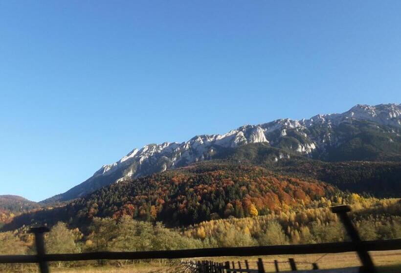 Pensiunea Kyfana Zarnesti