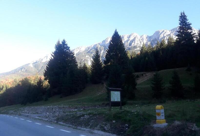 Pensiunea Kyfana Zarnesti