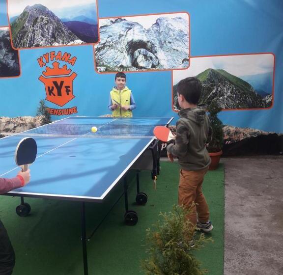 Pensiunea Kyfana Zarnesti