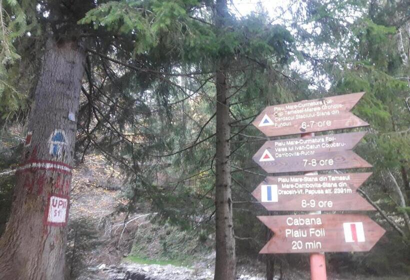 Pensiunea Kyfana Zarnesti