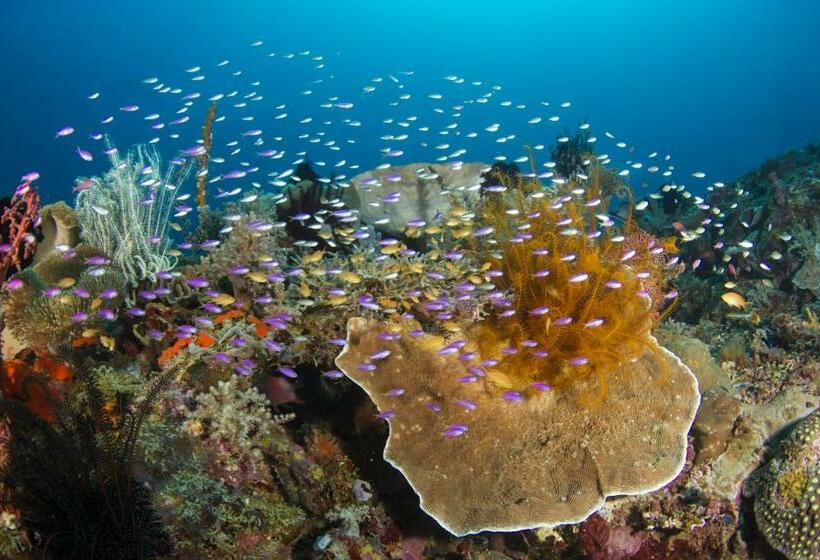 Punta Bulata White Beach Resort & Spa