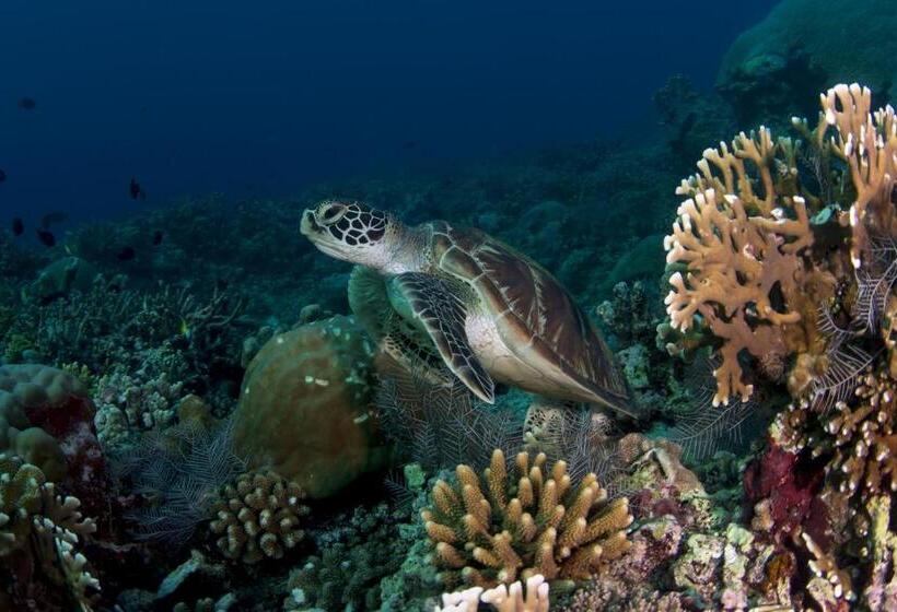 Punta Bulata White Beach Resort & Spa