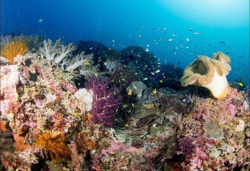 Punta Bulata White Beach Resort & Spa