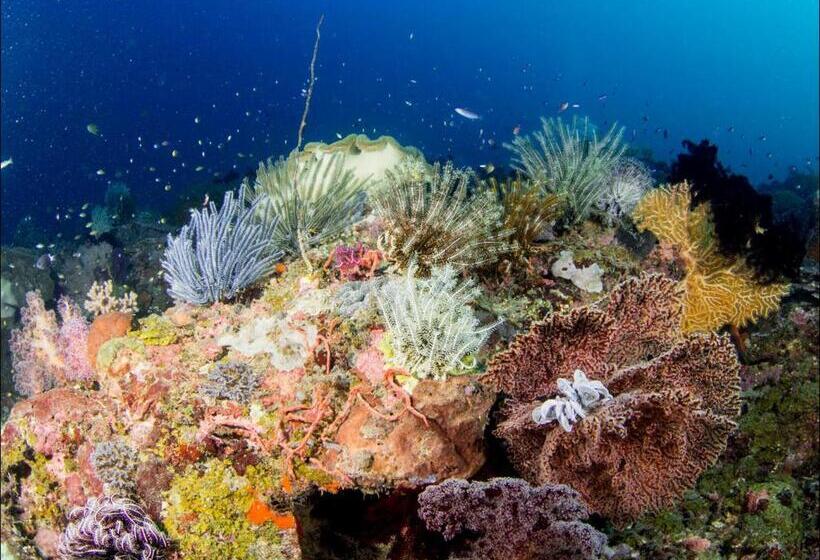 Punta Bulata White Beach Resort & Spa