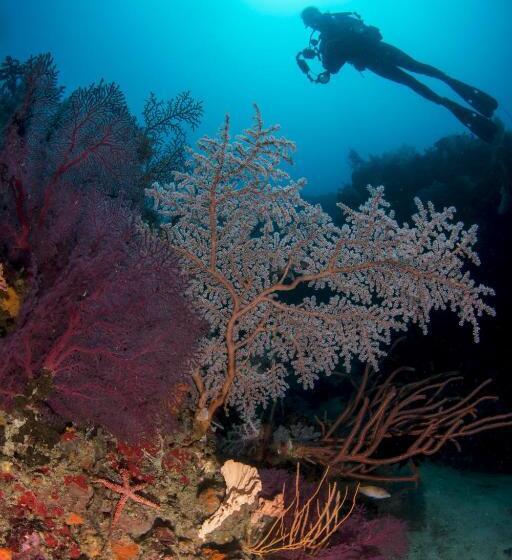 Punta Bulata White Beach Resort & Spa