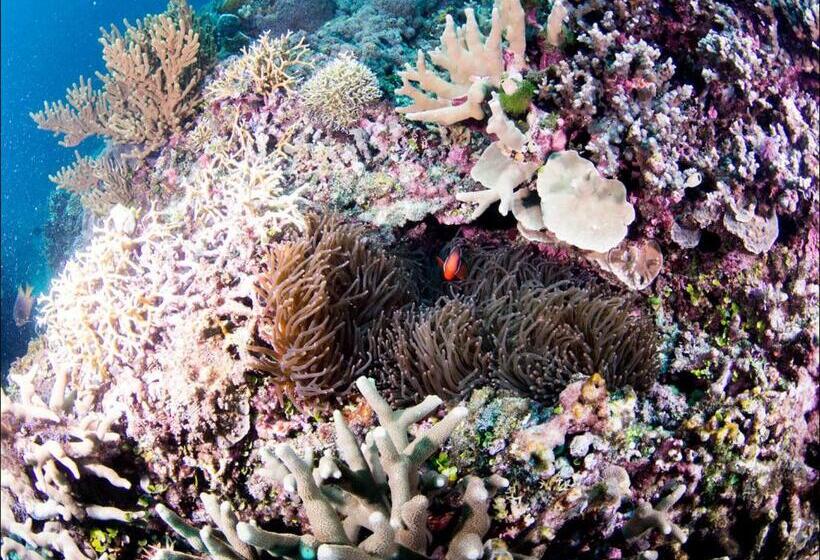 Punta Bulata White Beach Resort & Spa