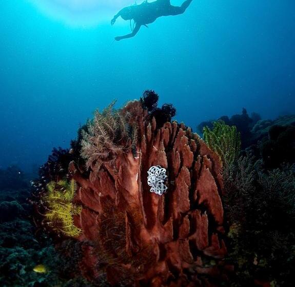 Punta Bulata White Beach Resort & Spa