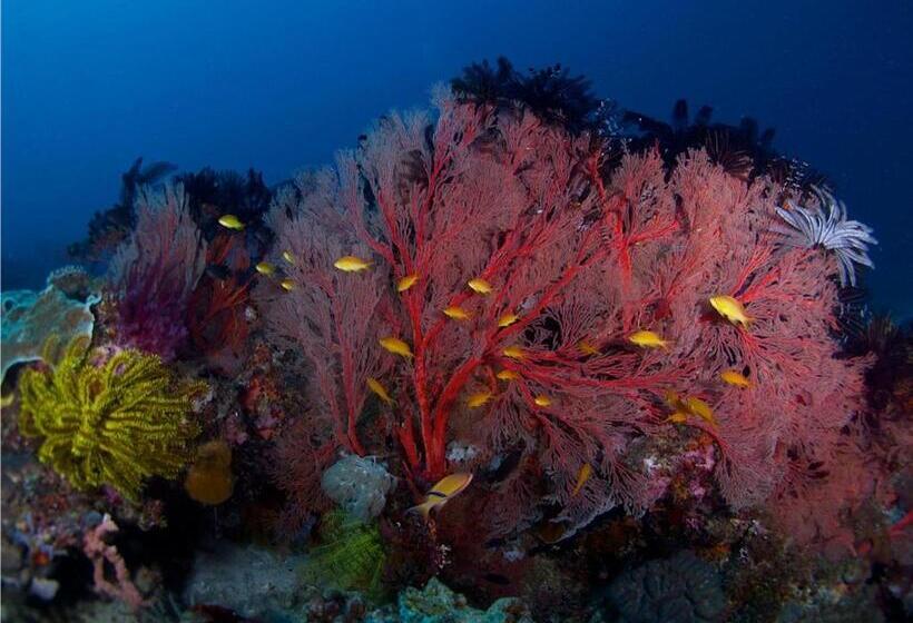 Punta Bulata White Beach Resort & Spa