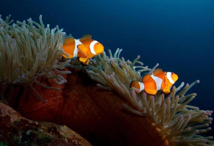 Punta Bulata White Beach Resort & Spa