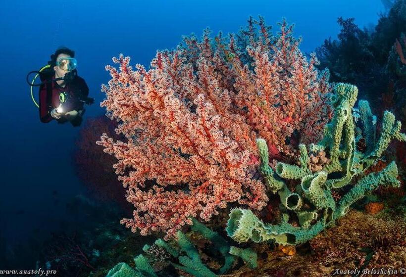 Punta Bulata White Beach Resort & Spa