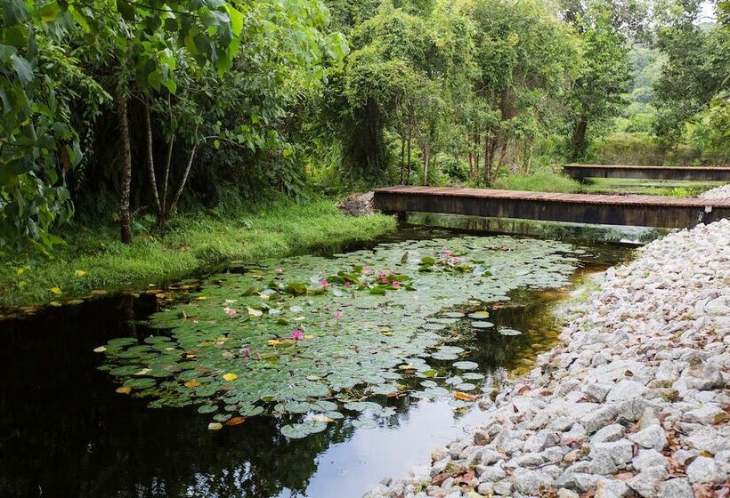 Курорт La Pari Pari